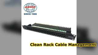 Professional 12 Port Network Patch Panel Solution